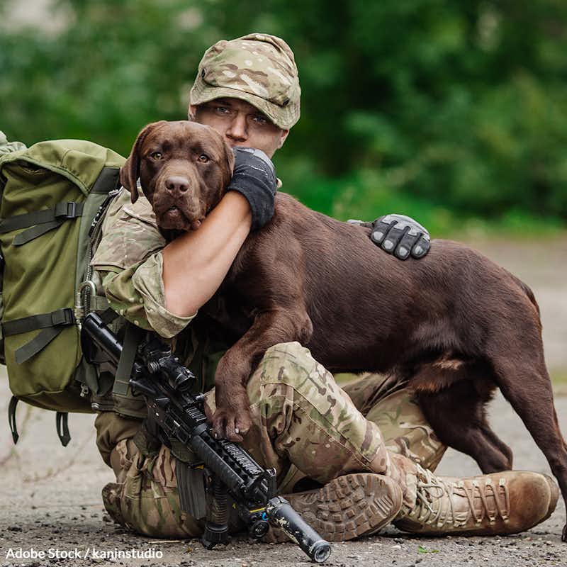 Our service members put themselves at risk by caring for local animals because it is against Military General Order 1-A.