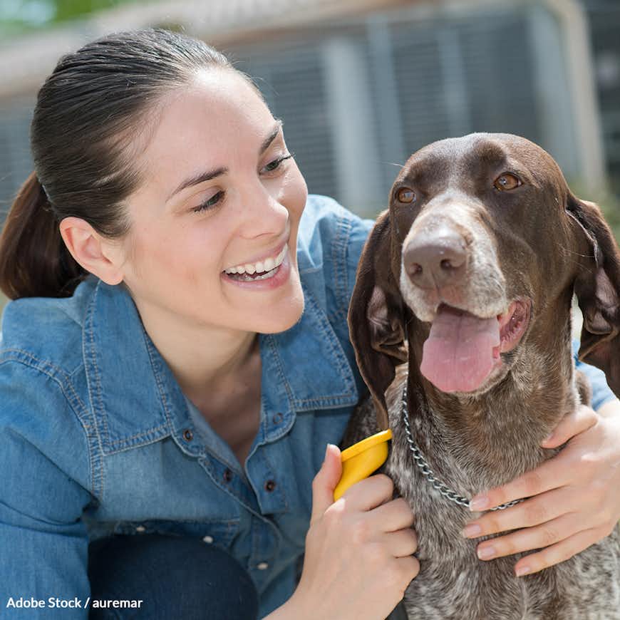 Make a Lifetime Friend and Save Senior Pets from Euthanization