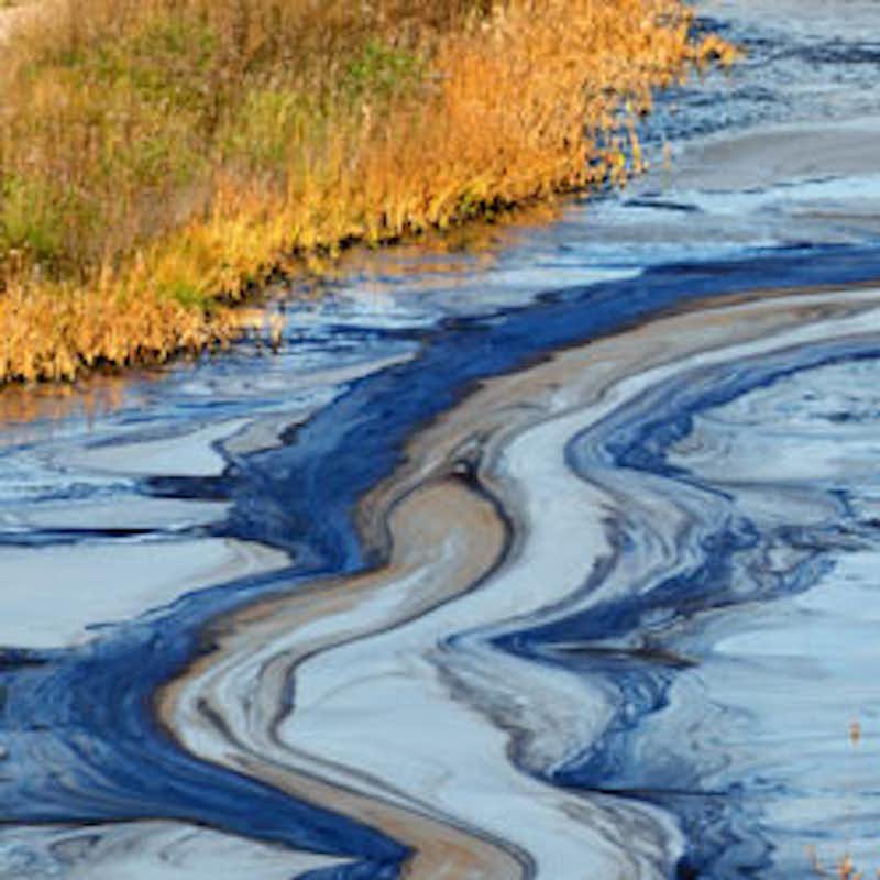 Don't let Shell Oil continue to wreak havoc on Nigeria with its perpetual oil spills!