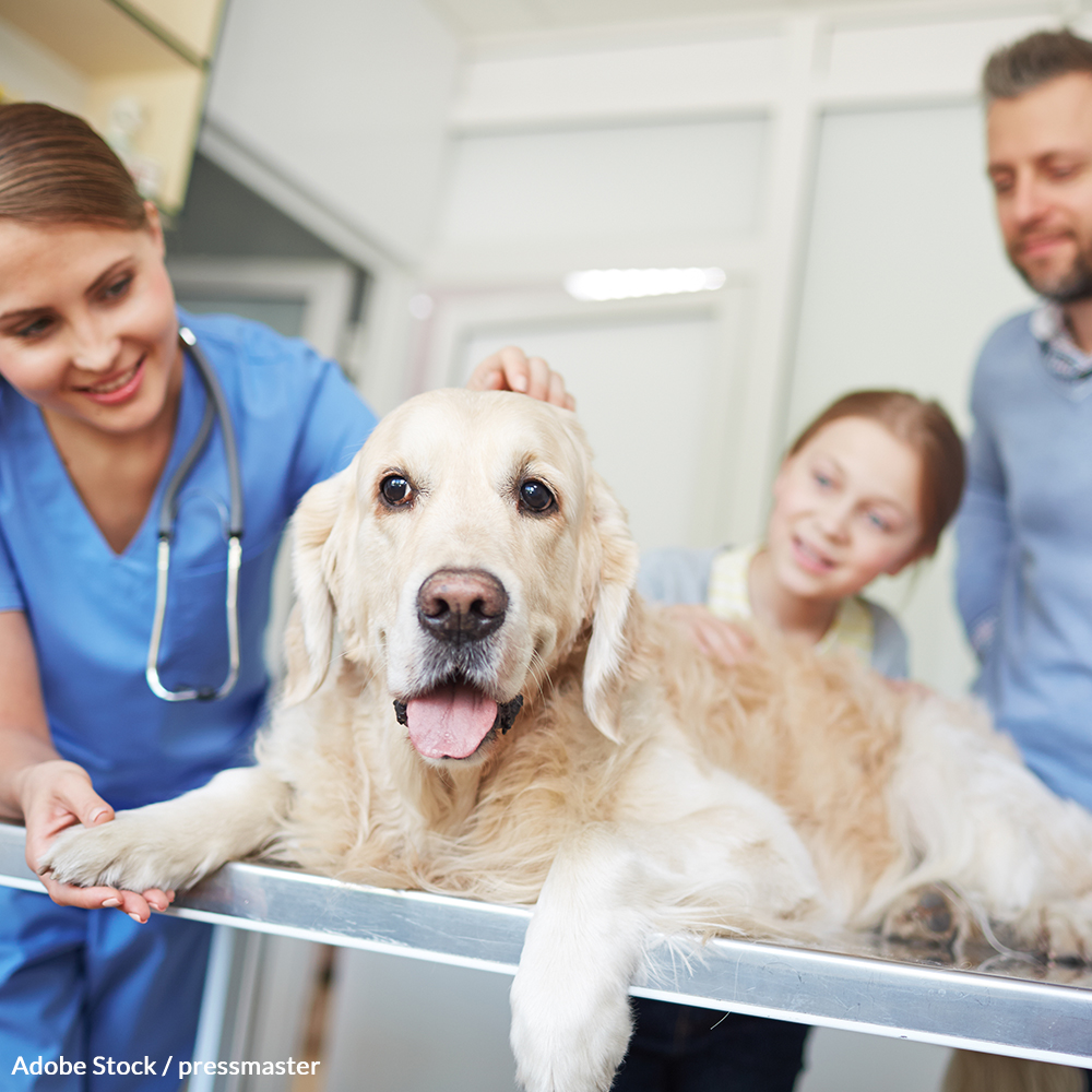 Protect. Cure. Love. Pledge To Share Pet Cancer Awareness!