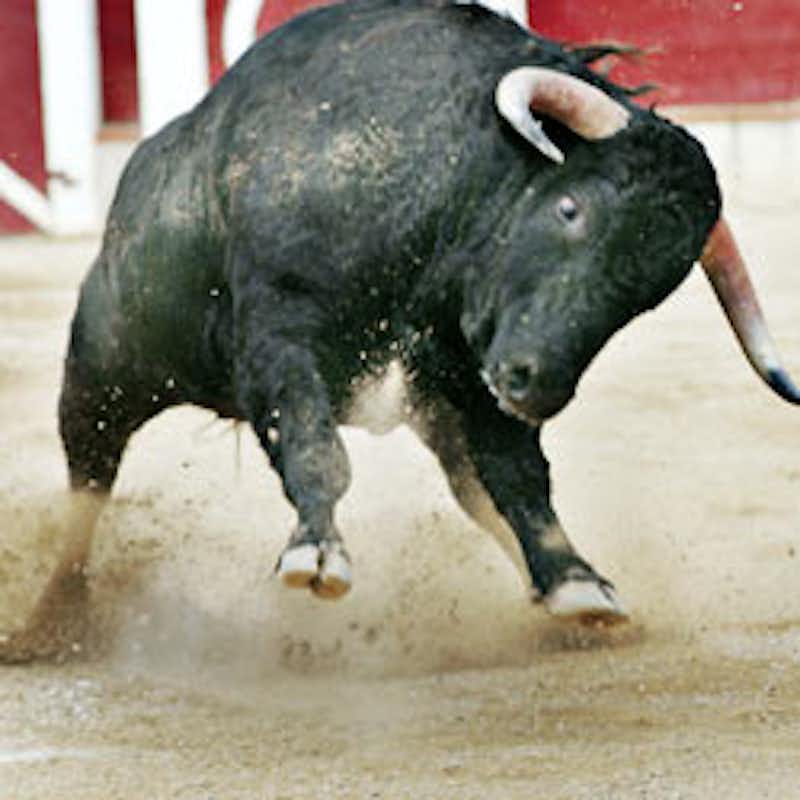 Bullfighting is animal cruelty, not entertainment!