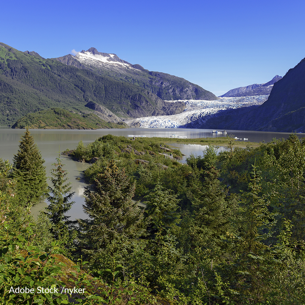 Reinstate the "Roadless Rule" To Protect Tongass National Forest From Logging
