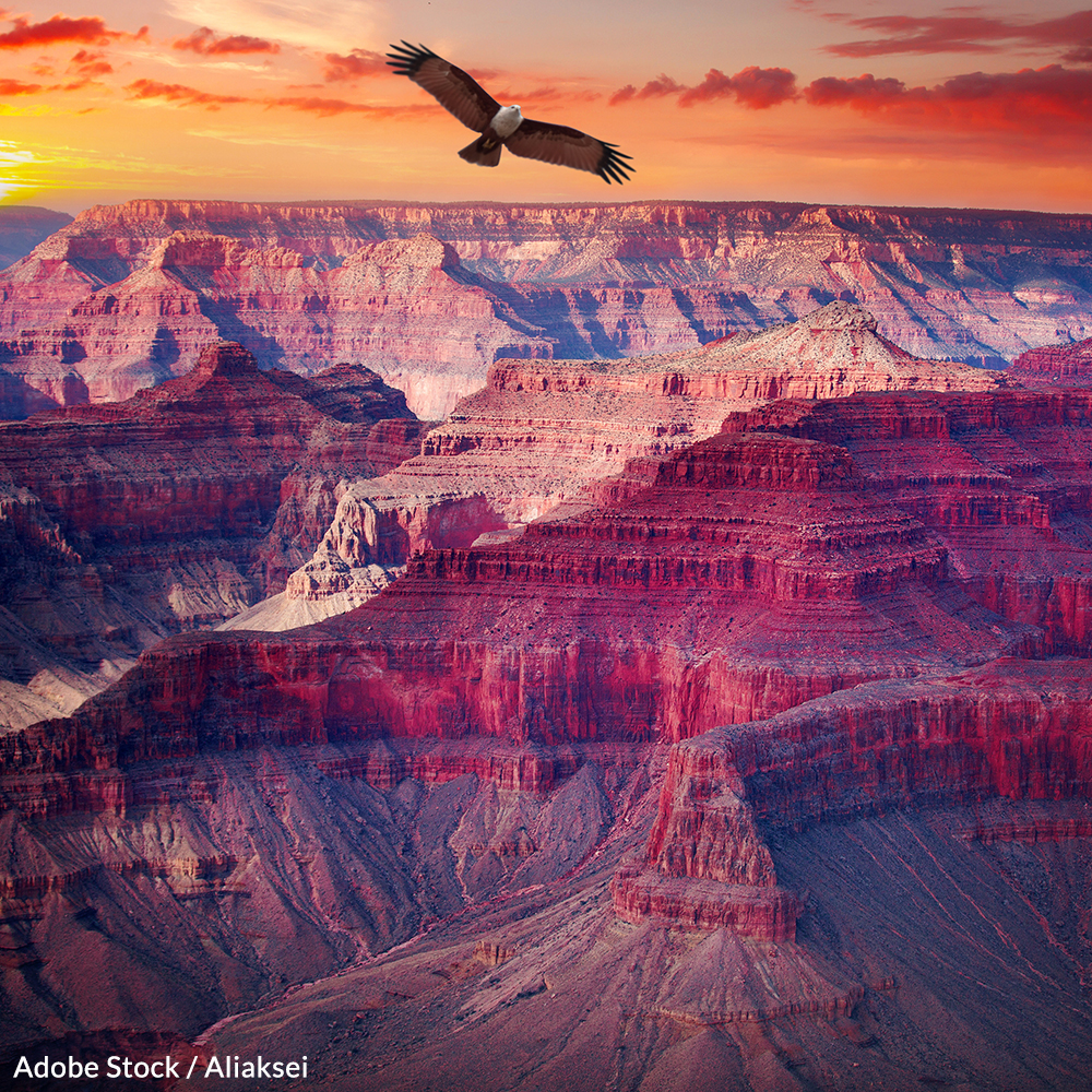 Don't Allow the Grand Canyon to Become a Mining Site!