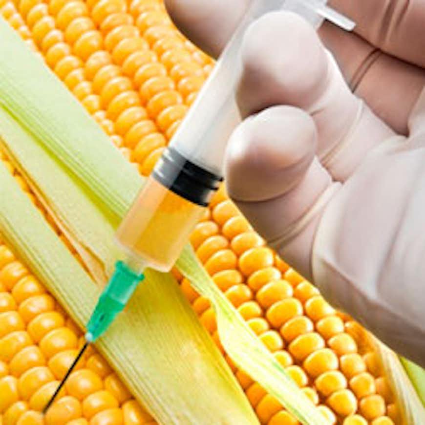 We Have a Right to Know About GMOs