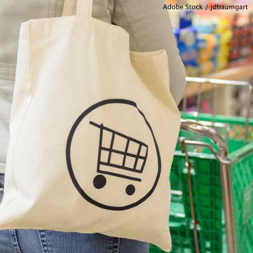 Tell the EPA to draft and advocate for legislation that would ban plastic grocery bags in the USA.