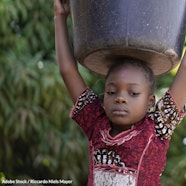 Keep Child Labor Out Of Chocolate Take Action The Rainforest Site