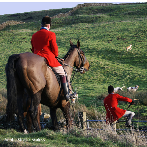 End Hound Hunts In The UK For Good!