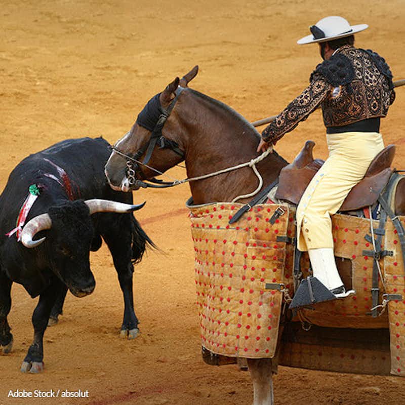 There's no way to have a humane bull fight. The solution is to ban this cruel 'entertainment' to save horses and bulls!