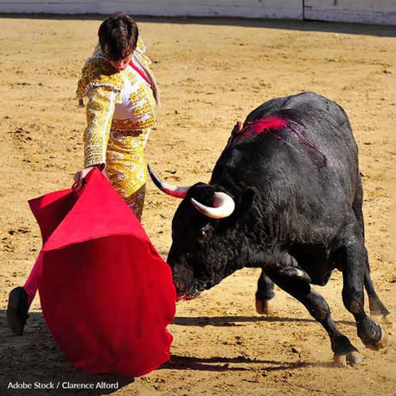 Ban bullfighting and running with the bulls worldwide. This bloody spectacle needs to be put behind us!
