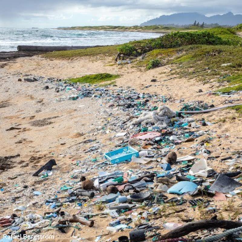 Plastic pollution has become a full-blown crisis and without action now, it's going to get much worse!