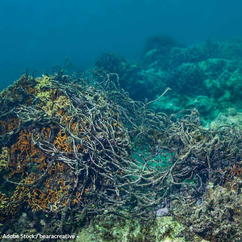 Bottom trawling leaves bycatch animals dead and destroys critical marine habitats. Save our oceans from this destruction!
