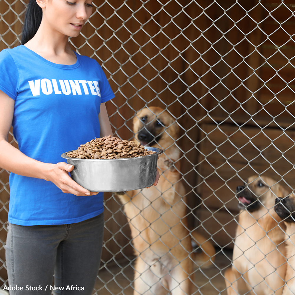 No one wants their pet to go hungry. Pet food pantries provide peace of mind to many struggling people. Take the pledge and support pet food pantries!