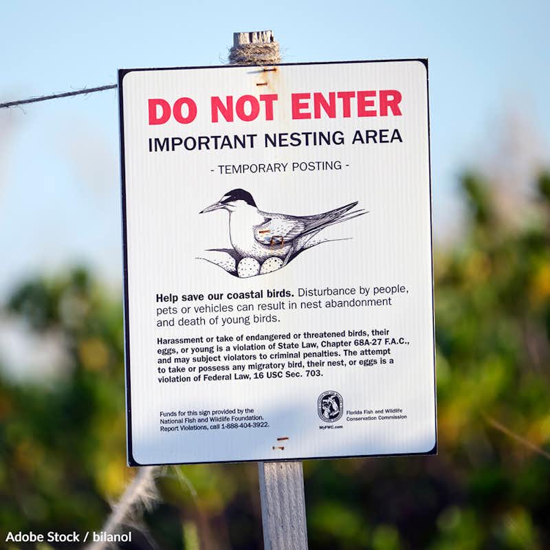 Dangerous pesticide use on national wildlife refuges hurts the environment and threatens wildlife and throughout the U.S. Take action!