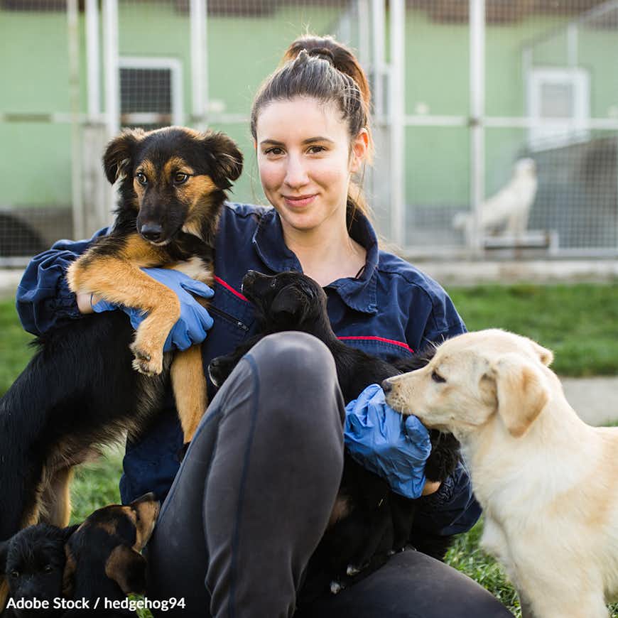 Rescue Pets Face Euthanasia — Support Shelters in Desperate Need