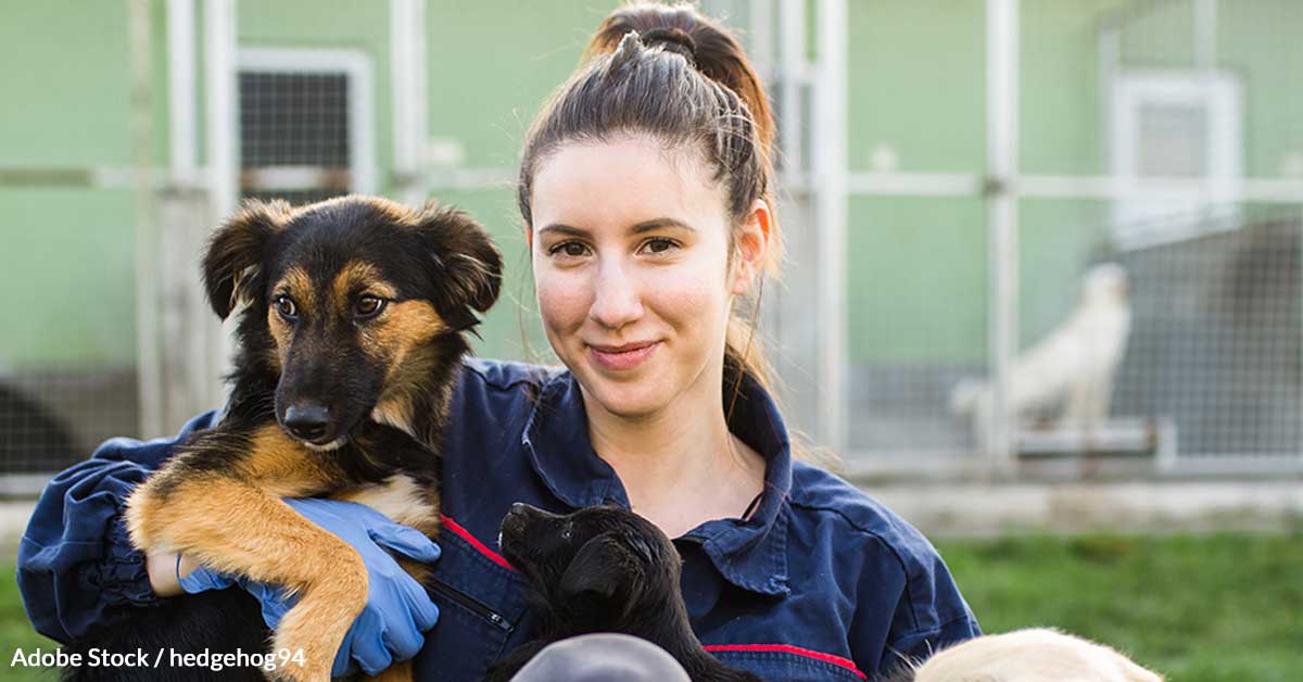 Rescue Pets Face Euthanasia — Support Shelters in Desperate Need