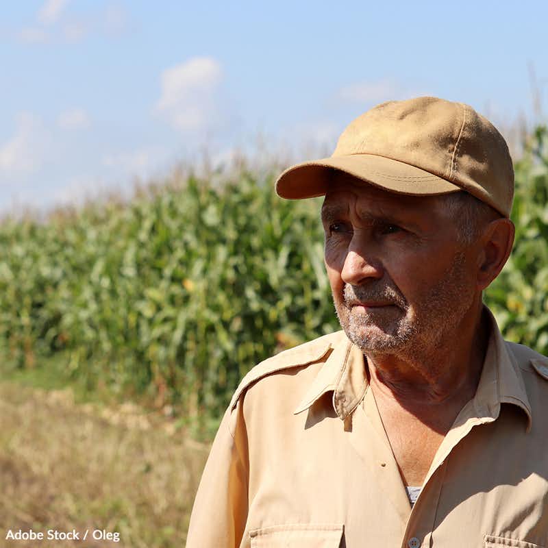 Small-scale farmers are the backbone of our food system, yet they face significant challenges in today's economy. Take the pledge to help them thrive!