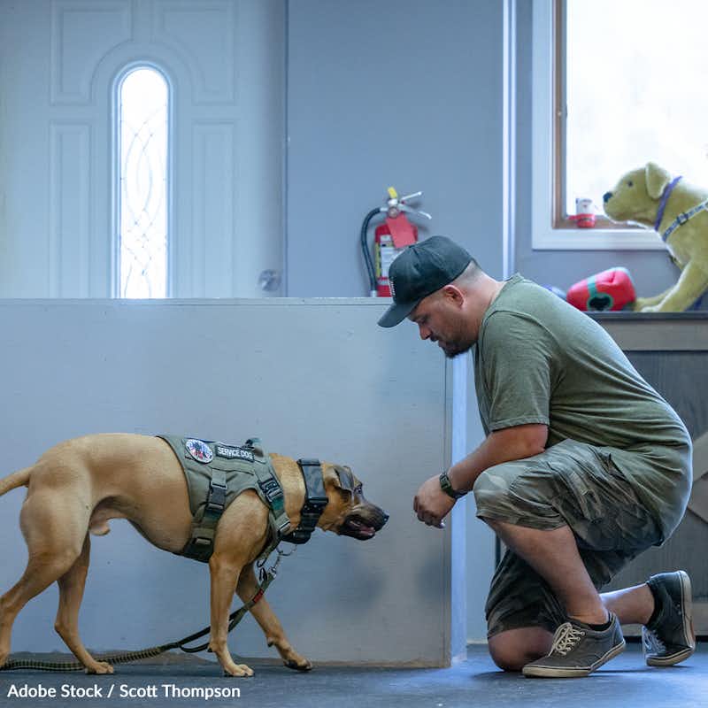 Service dogs provide comfort, support, and a sense of security veterans, enabling them to live their lives to the fullest, but not every veteran who needs a service dog has the means to get one. Take action for our veterans!