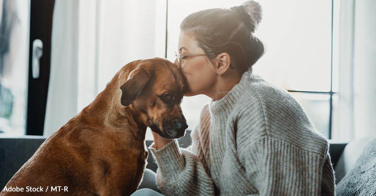 Pledge to Protect Pets from Dog Flu