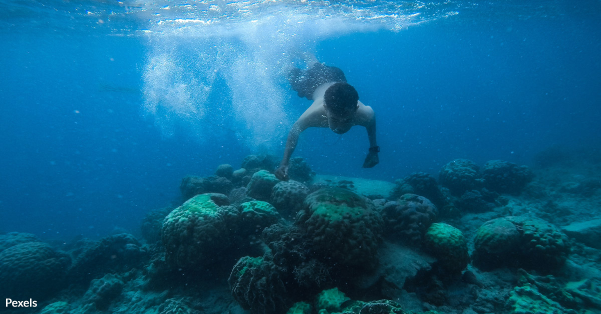 Take Action: Protect Our Coral Reefs