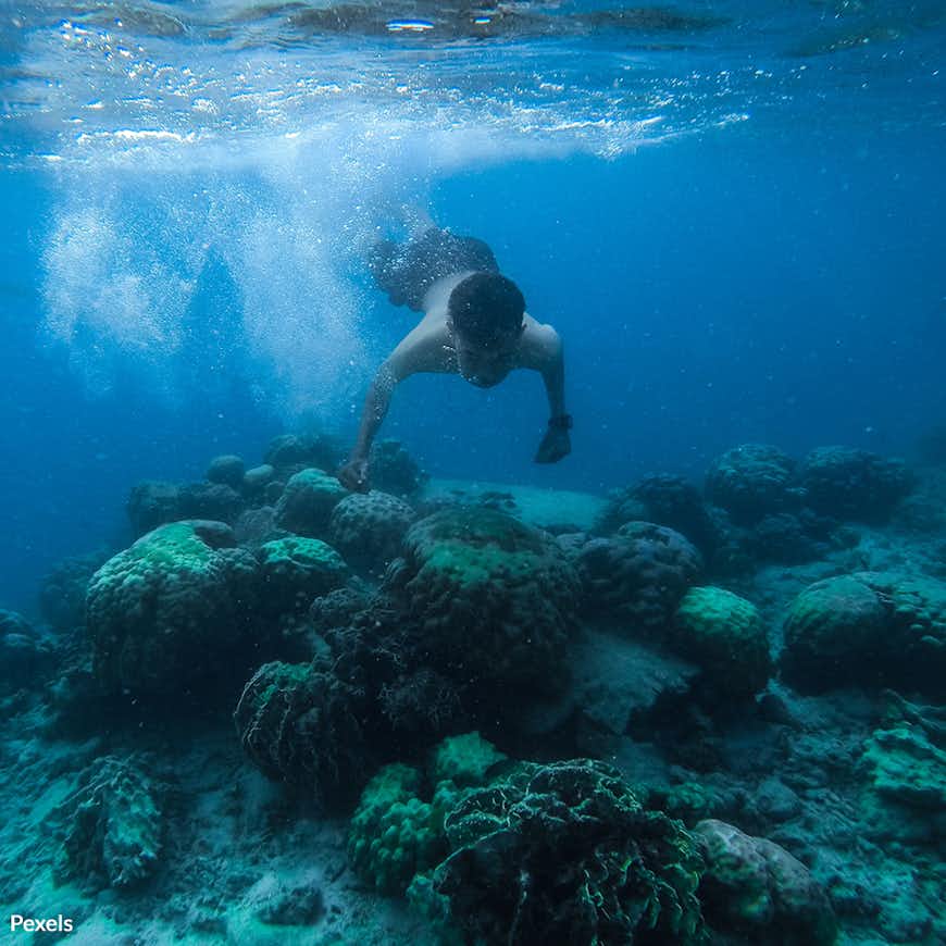Take Action: Protect Our Coral Reefs