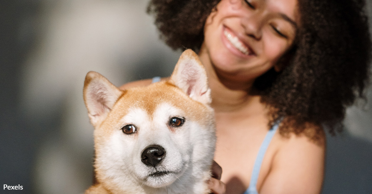 Protect Pets from Artificial Sweetener Poisoning