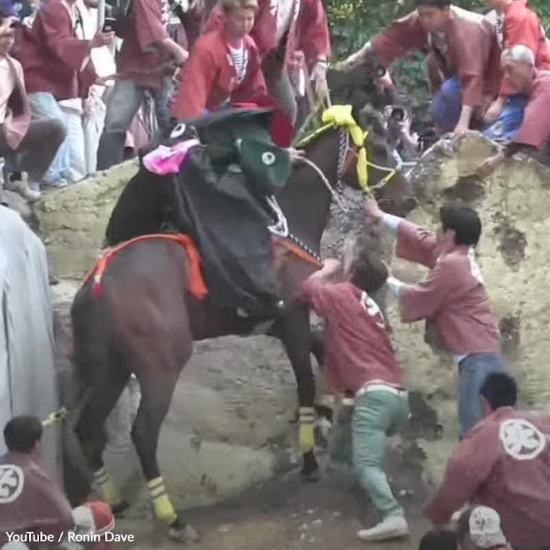 The Ageuma Shinji Festival in Mie Prefecture, Japan, has turned into a horrifying display of animal cruelty disguised as entertainment. Take action!