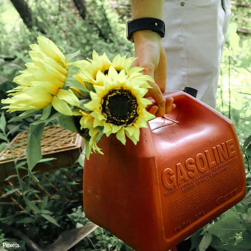 Gasoline is not safe for pest control! Take the pest-free pledge and promote responsible actions for a healthier future! 