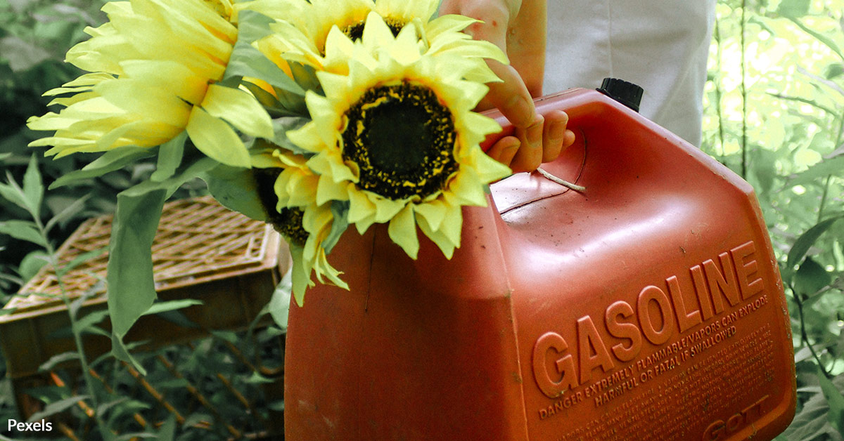 Responsible Pest Control for a Safer Environment