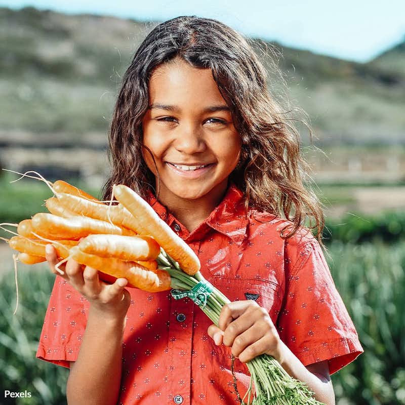 Embrace the transformative power of produce for better health and a more secure food future.