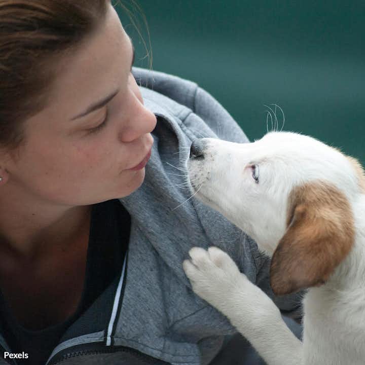 Commit To Compassionate Pet Care