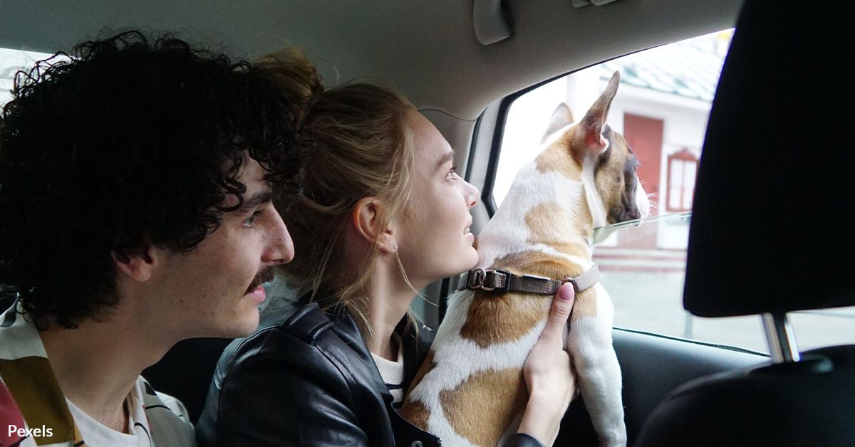 Make Every Journey Pet-Safe