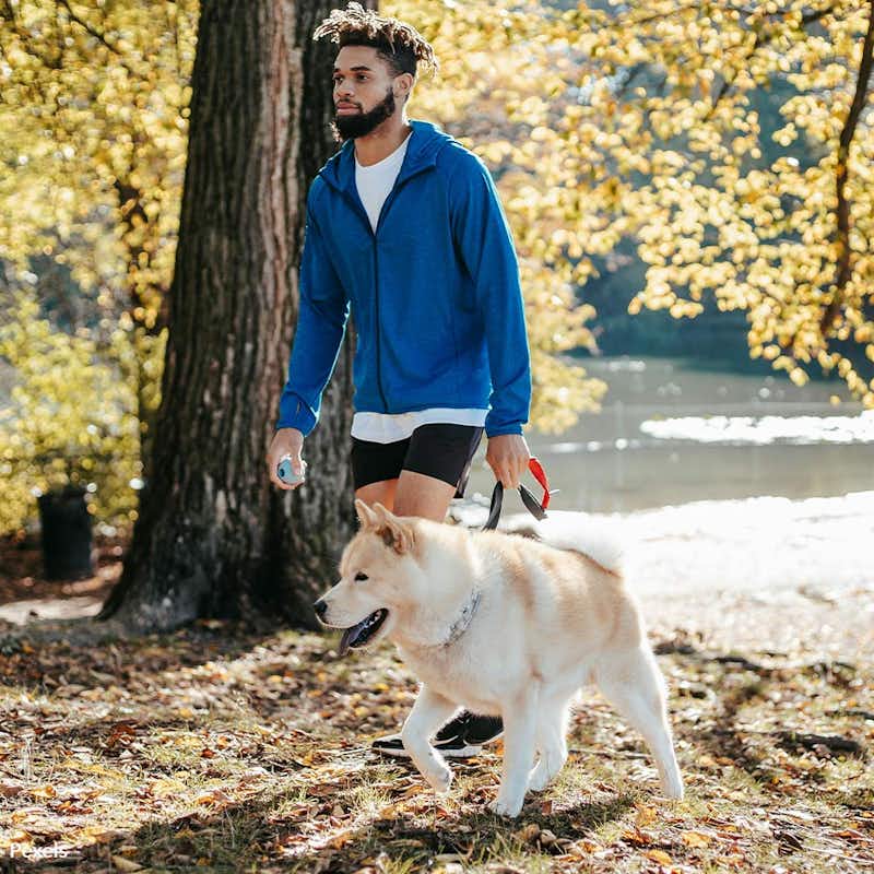 Unleash a world of health and joy for your furry friend - join us in celebrating National Walk Your Pet Month and transform your daily walks into a path of wellness and bonding!