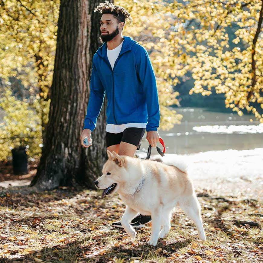 Walk Your Pet for Love and Health
