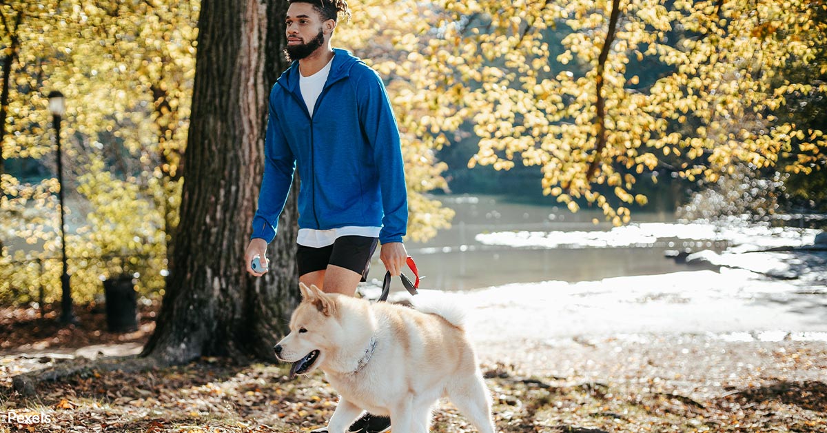 Walk Your Pet For Love And Health