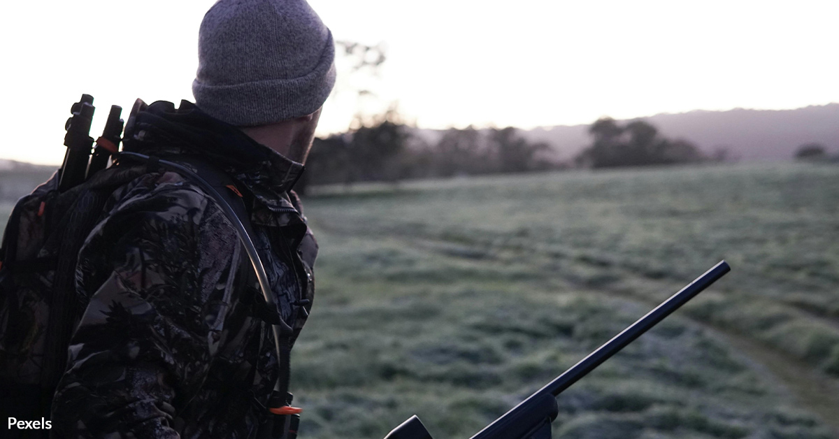 Nevada's Wildlife in the Crosshairs — End the Carnage Now