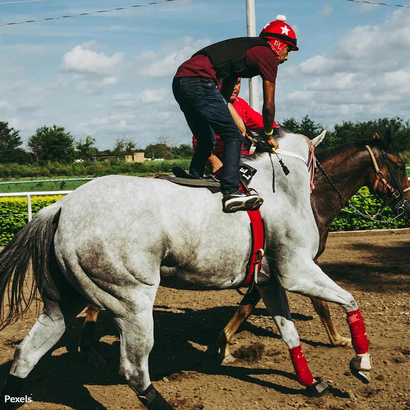 Bush track racing gambles with horse lives, and a failed federal promise has left them in peril—demand protection for horses now.
