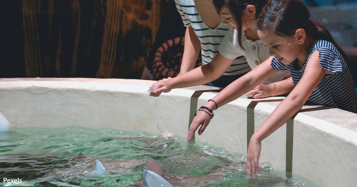 End SeaQuest‘s Legacy of Abuse and Neglect