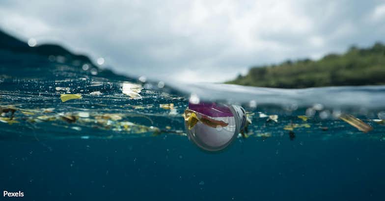 Stop Ocean Dumping and Save Marine Life