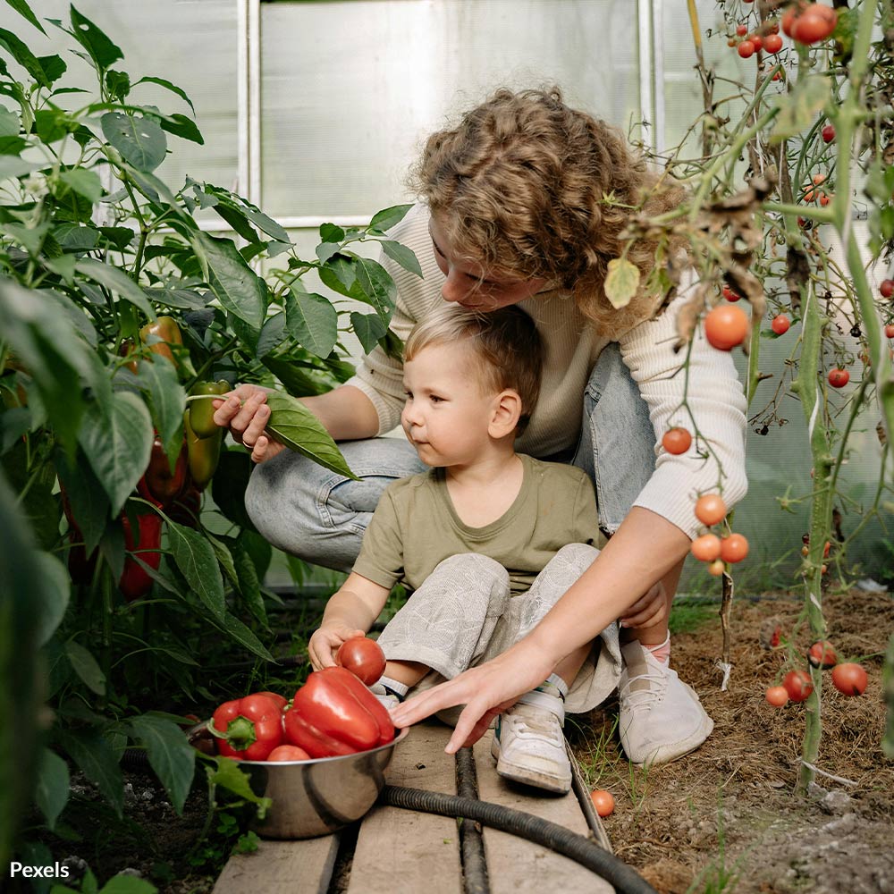Stop the EPA From Poisoning Our Children and Pollinators